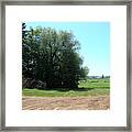 Wood Pile Framed Print