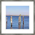 Wood Pilings On The Mullica River Framed Print