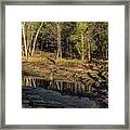 Wooded Backwash Framed Print