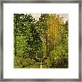 Wooded Path Framed Print