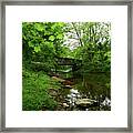 Wooded Valley Of The Patapsco River North Branch Maryland Framed Print