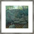 Woodland Rocks Framed Print