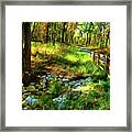 Woodland Symphony Framed Print