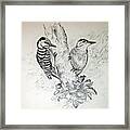 Woodpecker Framed Print