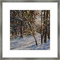 Woods And Snow At Two Below Framed Print
