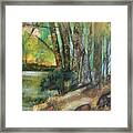 Woods In The Afternoon Framed Print