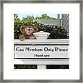 Working Bear Mp Framed Print