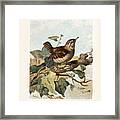 Wren Restored Framed Print