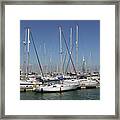 Yachts In The Marina Portsmouth Framed Print