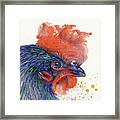 Year Of The Rooster Framed Print
