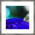 Yellow And Blue Macro Framed Print
