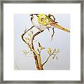 Yellow Bird Framed Print