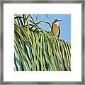 Yellow Bird Framed Print