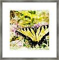 Yellow Butterfly Framed Print