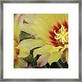 Yellow Cactus Plant Flower Framed Print