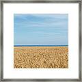 Yellow Field, Sea And Blue Sky Framed Print