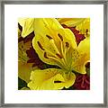 Yellow Floral Framed Print