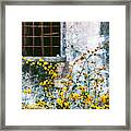 Yellow Flowers And Window Framed Print