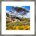 Yellow Framed Print