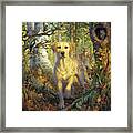 Yellow Lab In Fall Framed Print