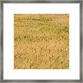 Yellow Nature Abstract Background Framed Print