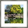Yellow Reflection Framed Print