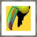 Yellow Toucan Framed Print