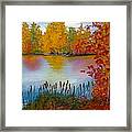 Yellow Tree At Institute Park Framed Print