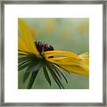 Yellow Wildflower Framed Print