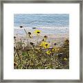 Yellow Wildflowers- Art By Linda Woods Framed Print