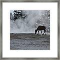 Yellowstone 5456 Framed Print