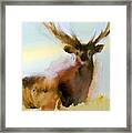 Yellowstone  Elk Framed Print