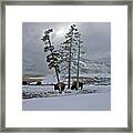 Yellowstone In Winter Framed Print