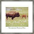 Yellowstone Poster With Bison Framed Print