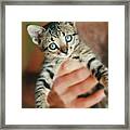 Yiddie Kitten Hand Framed Print