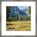 Yosemite Valley At Yosemite National Park Framed Print