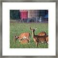 You Lookin' At Me? Framed Print