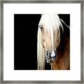 You Looking At Me? Framed Print
