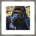 You Looking At Me Framed Print