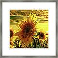 Sunflowers Dancing In The Sun Framed Print