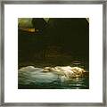 Young Christian Martyr Framed Print