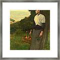 Young Woman In A Garden Of Oranges Framed Print