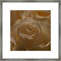 Your Beauty Stands Out Framed Print