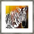 Zebra Boy 2 Framed Print