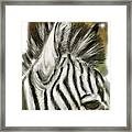 Zebra Digital Framed Print
