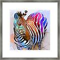 Zebra Dreams Framed Print