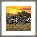 Zebra Sunset Framed Print