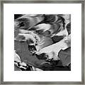 Zen Abstract Series N1015al Framed Print