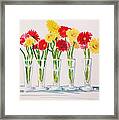 Zinnias In A Row Framed Print