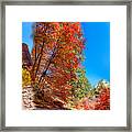 Zion Collage Mug Shot Framed Print